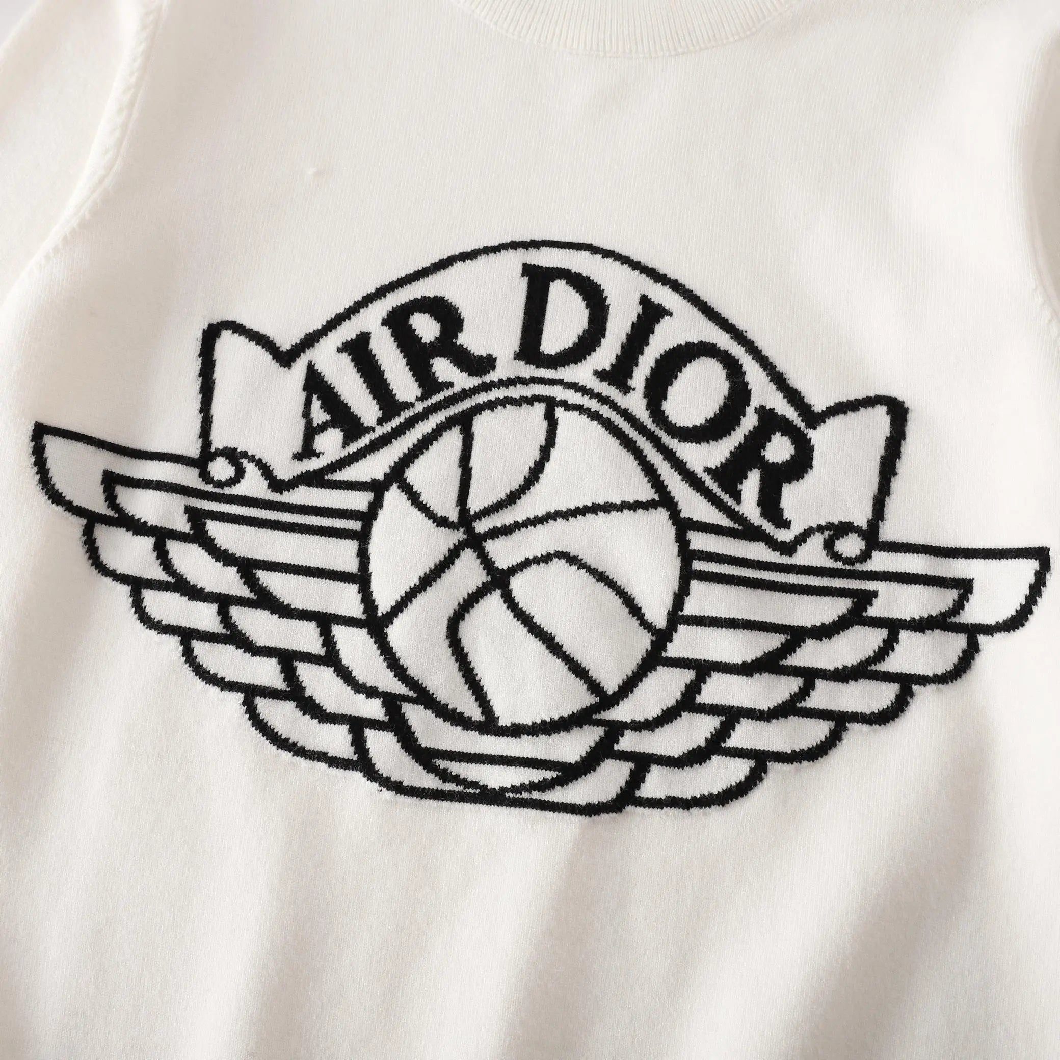 DIOR - SWEATSHIRT - https://treadfitpro.com/